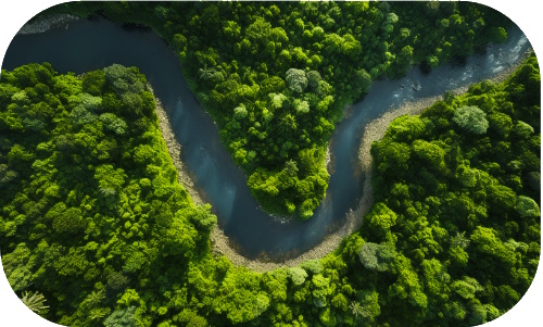 Empowering innovation